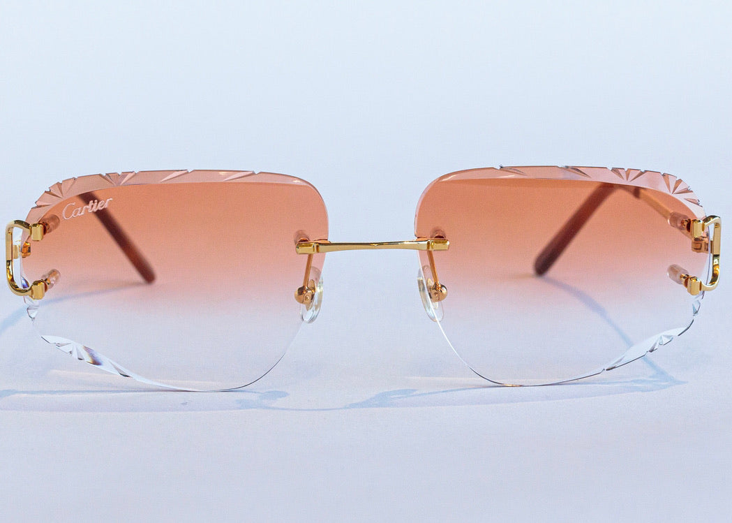 SCOTT LENS
