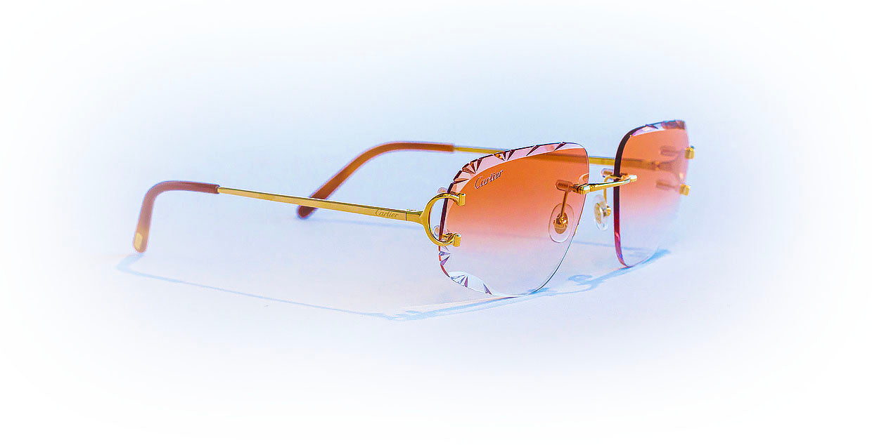 SCOTT LENS
