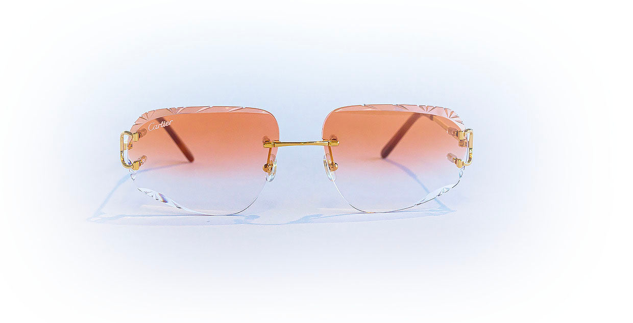 SCOTT LENS